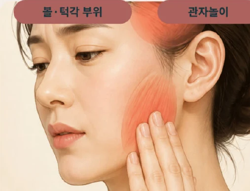 볼과 관자놀이의 씹는 근육 위치를 보여주는 그림